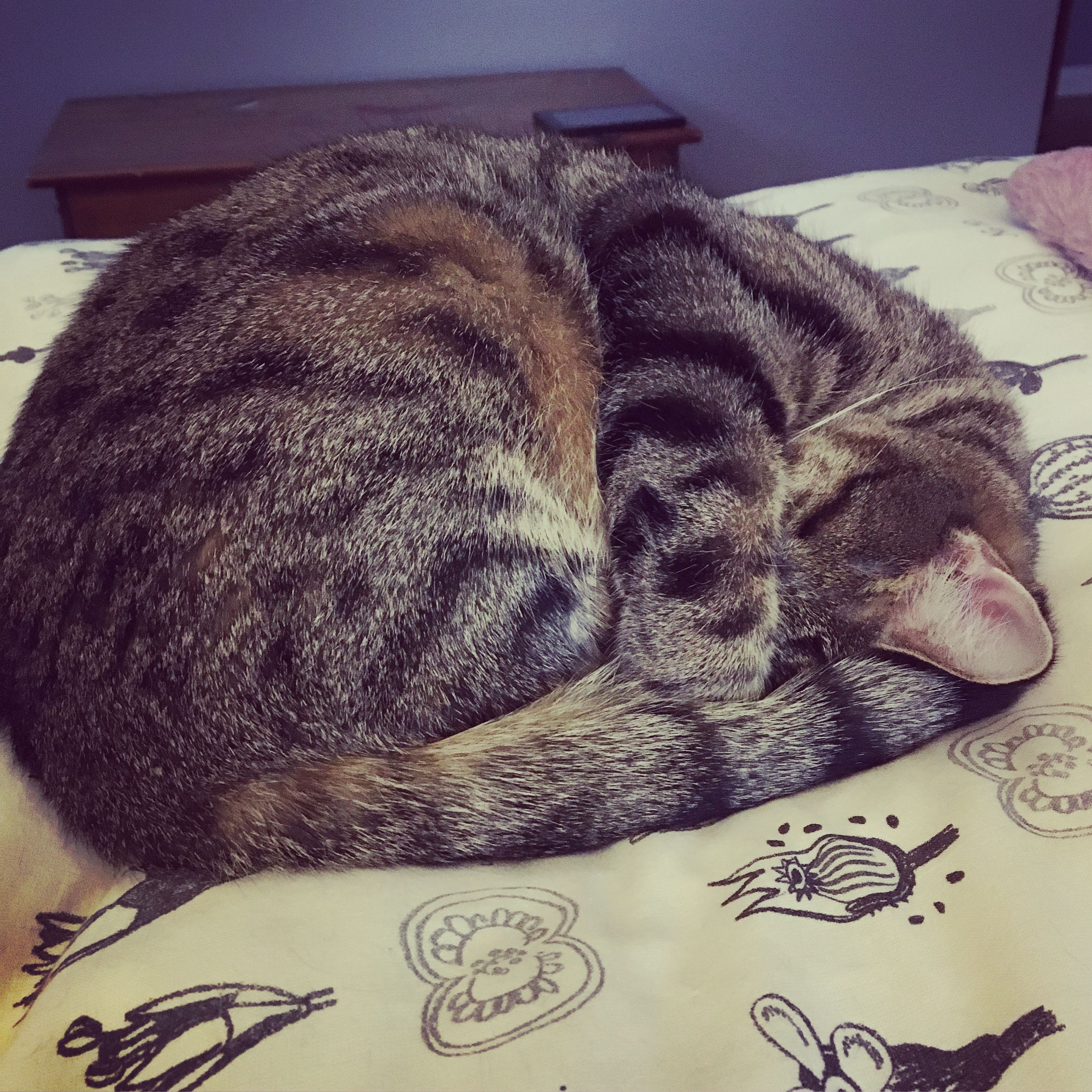 e0d96c13-299f-4782-8002-753b990b43fc