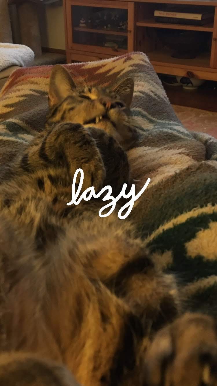 6ff4fc9a-fe5a-4bcb-a579-fa6ed22a8b24