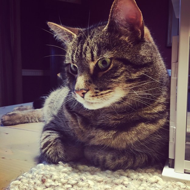 79515cbf-46ce-4633-a46f-6de1f9d5dc00