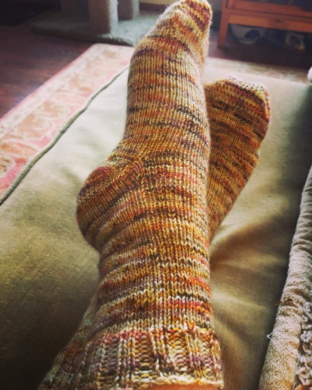 f0418646-522d-4d8d-9692-1edf250f8c95