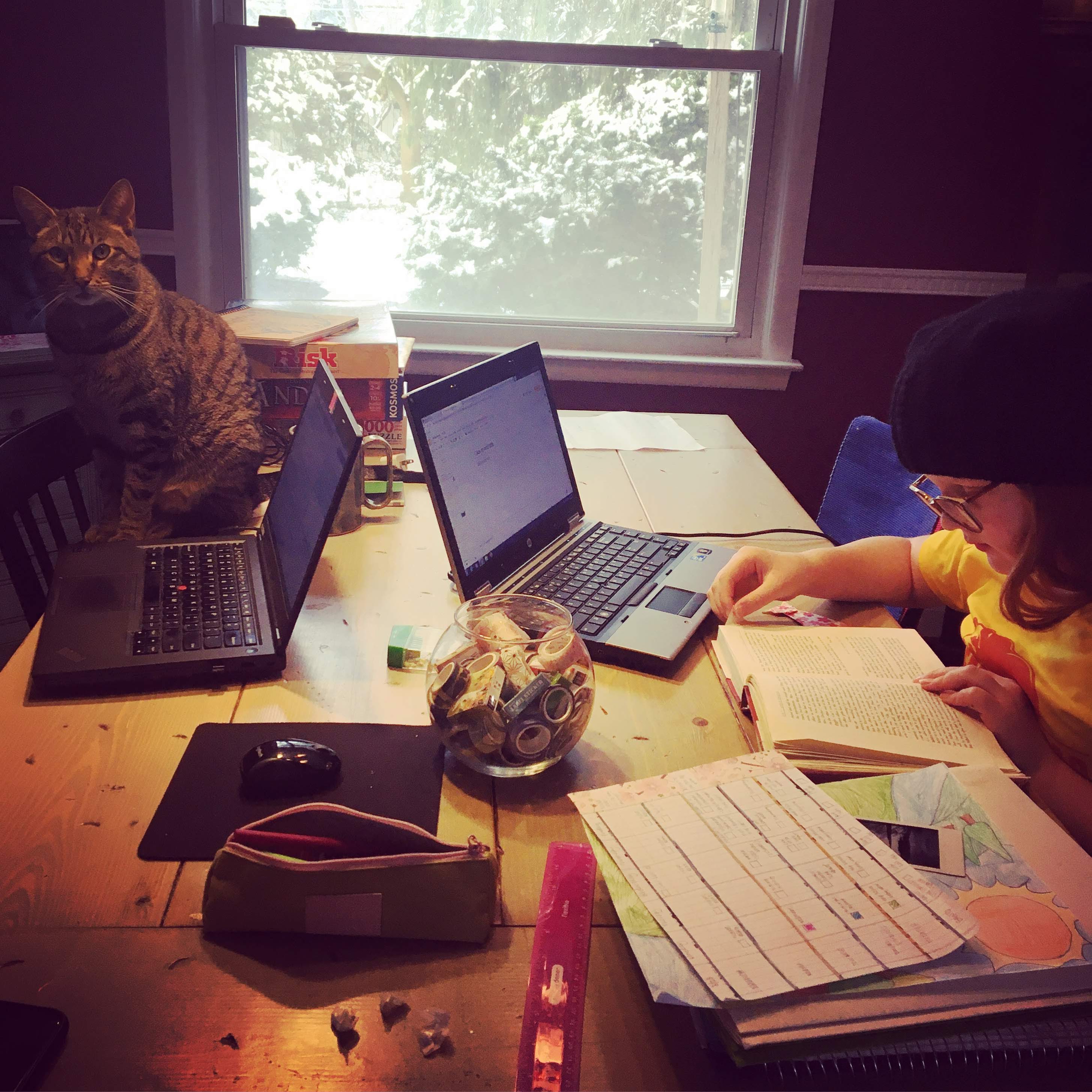 11355b3b-6216-4008-9007-e39c8224f85a