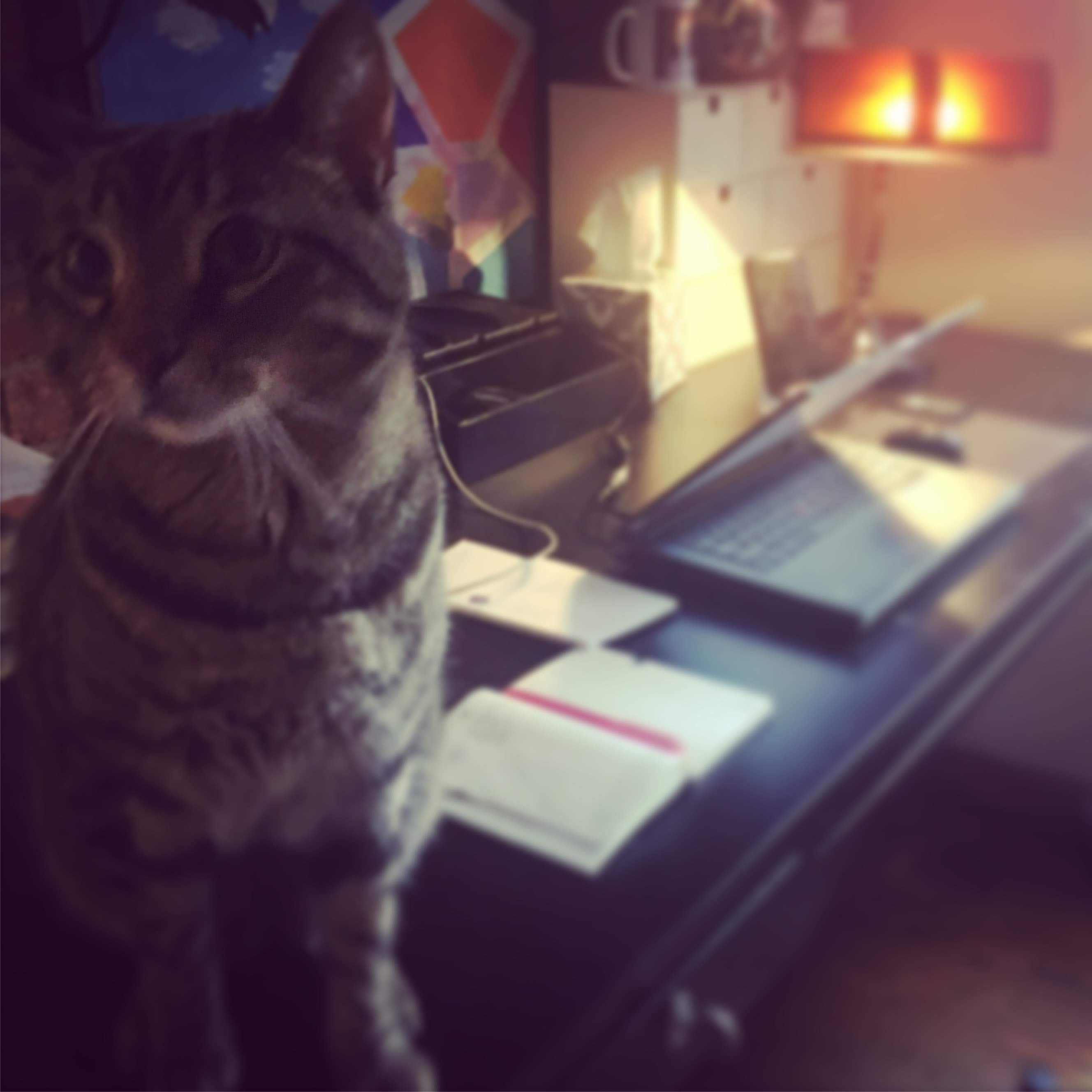 5cc91578-745e-4047-87ab-3e1cdd2cba89