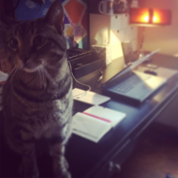 5cc91578-745e-4047-87ab-3e1cdd2cba89