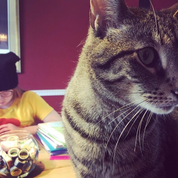 72ea6223-9ee5-4263-9408-595d23e1885a