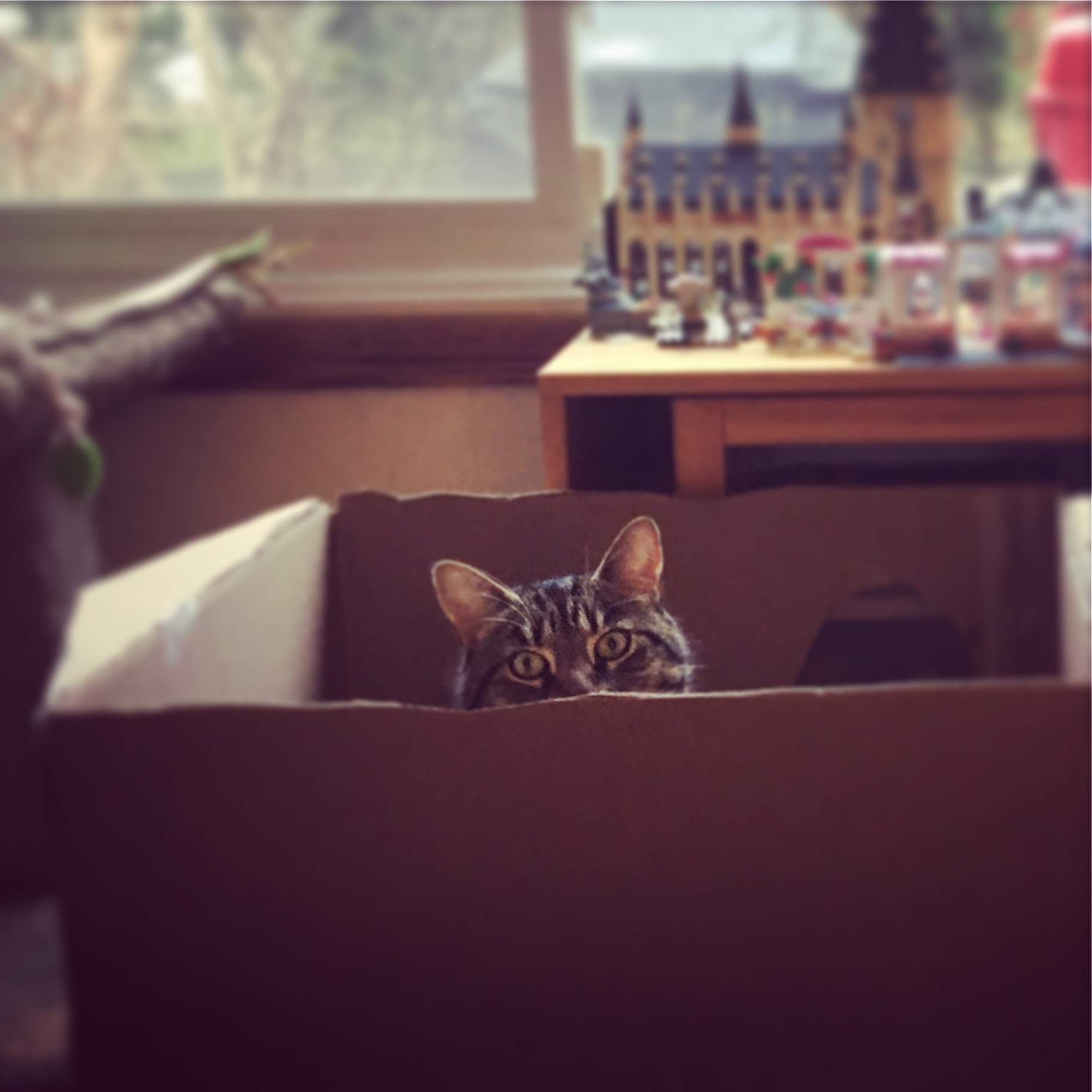 75110045-6d7a-49cc-b9a7-87b449756605