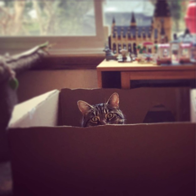 75110045-6d7a-49cc-b9a7-87b449756605