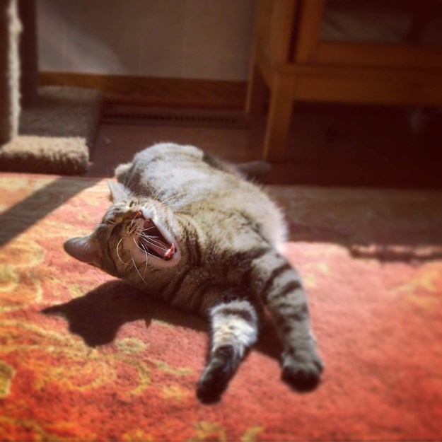 8767ba15-4dfd-44a4-8c7a-edf96c09a3ce