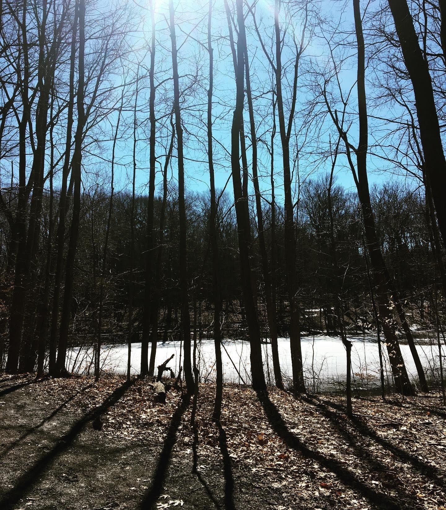 df9a3dd8-8853-4922-8703-c6abfd769dda