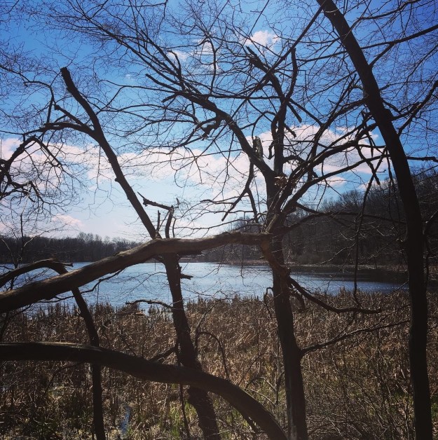 2f9848df-603c-446d-a4d7-17e6383add70