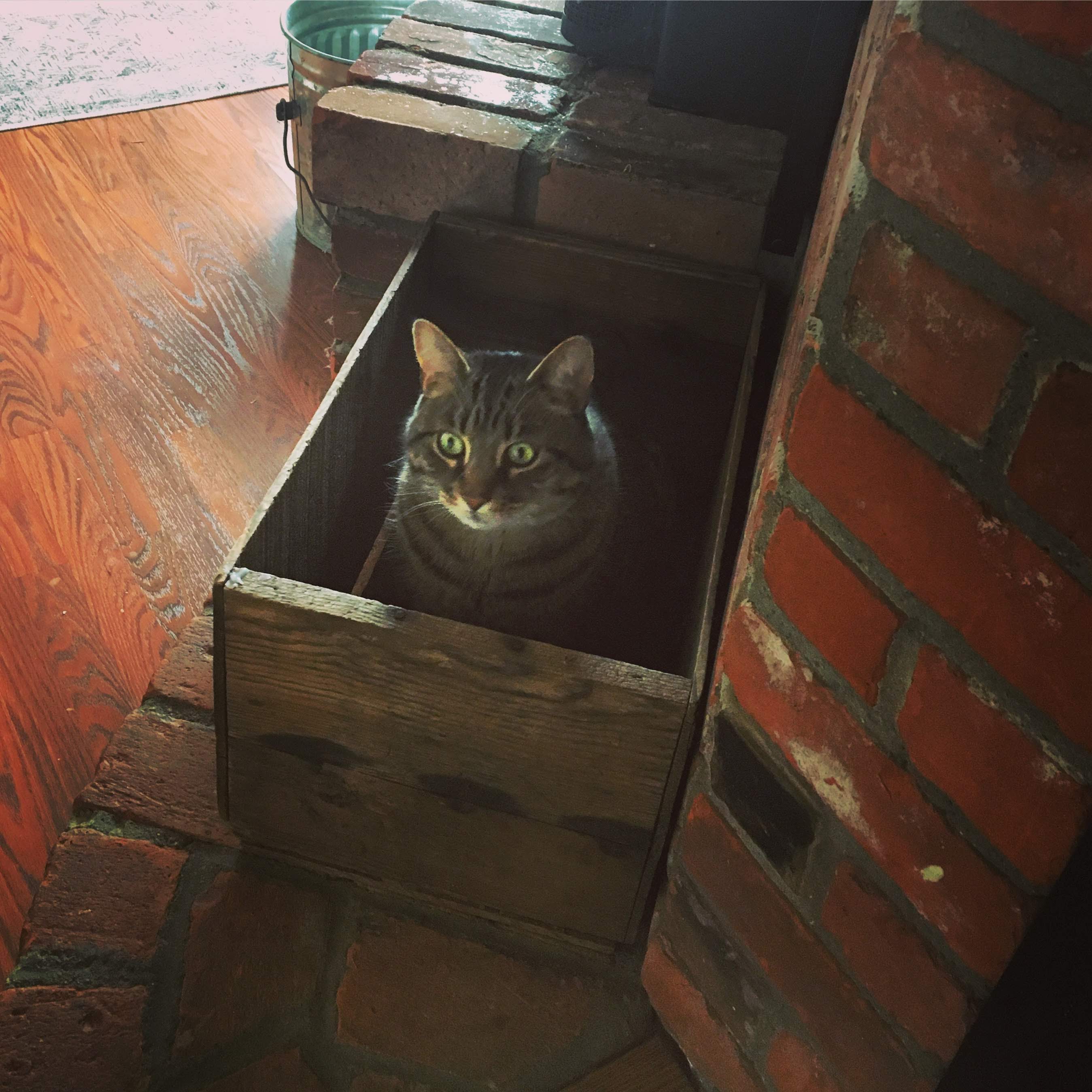 4b653521-c8ca-4dcf-861f-98025a7d84e3