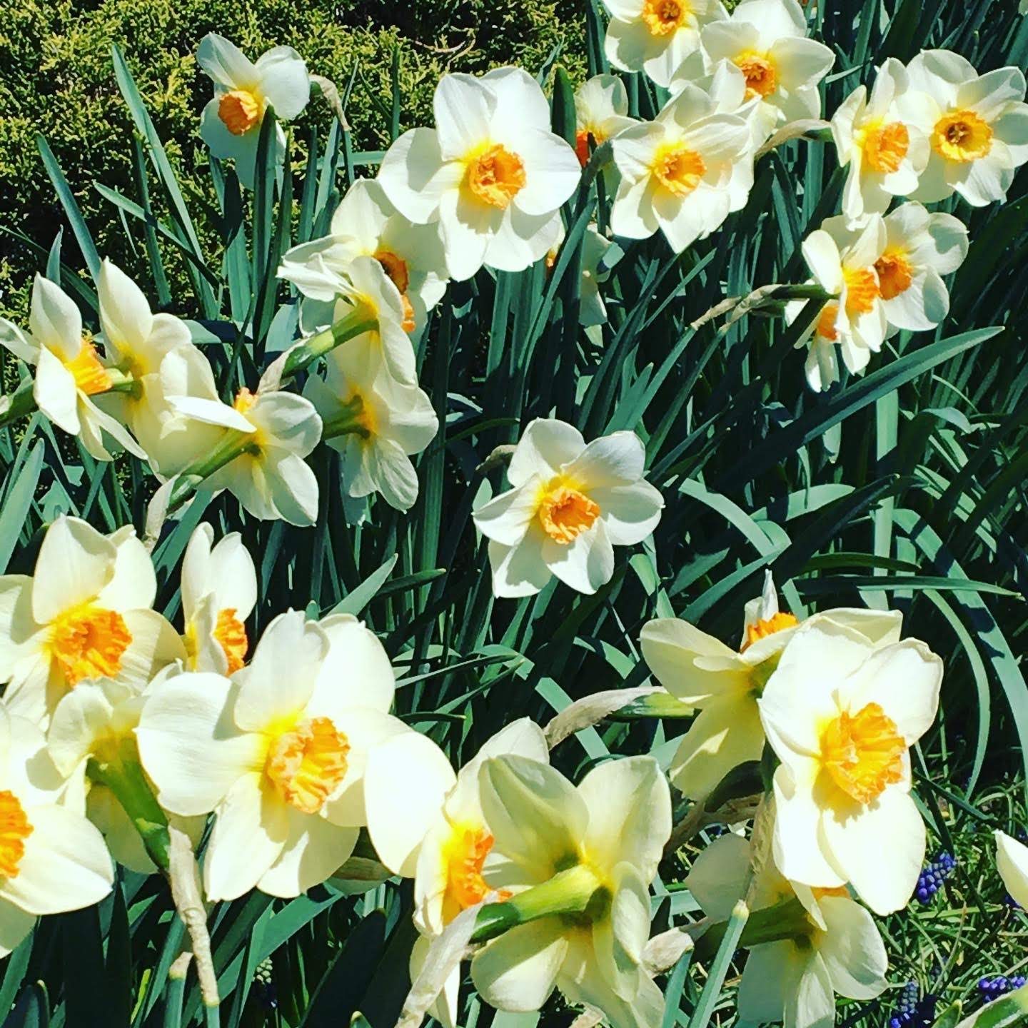 e6bc300a-b9a3-462c-8cba-d85b5482ad3f