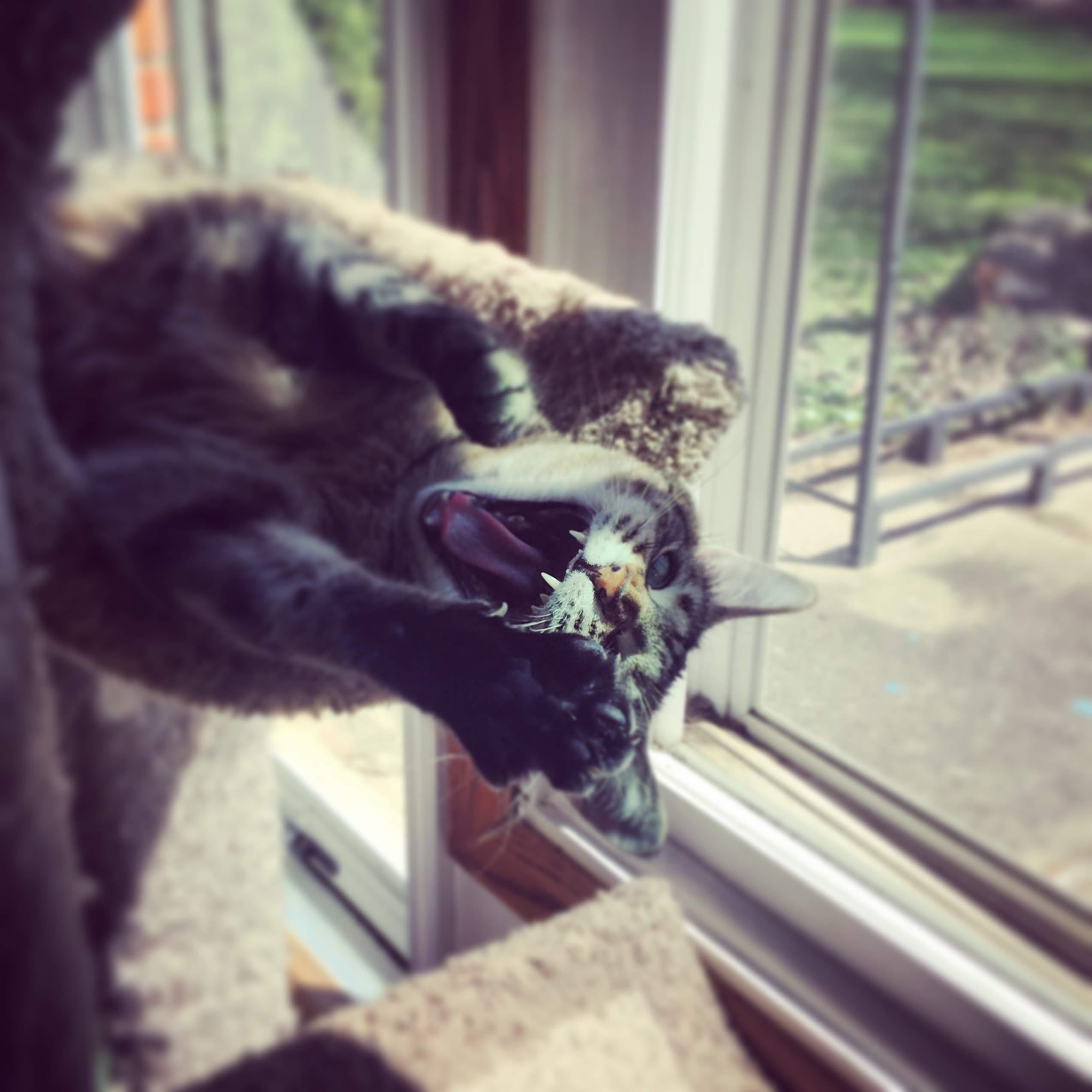 295d6a0d-0401-4429-b447-b15ab0b1ec15