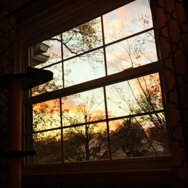 fcec9fbc-dd25-4bc0-bd68-af7afd94211a