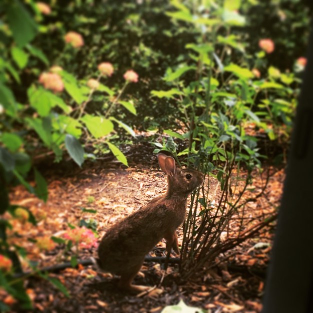 4378ab3f-941b-482e-a1f4-6a7a00070d20