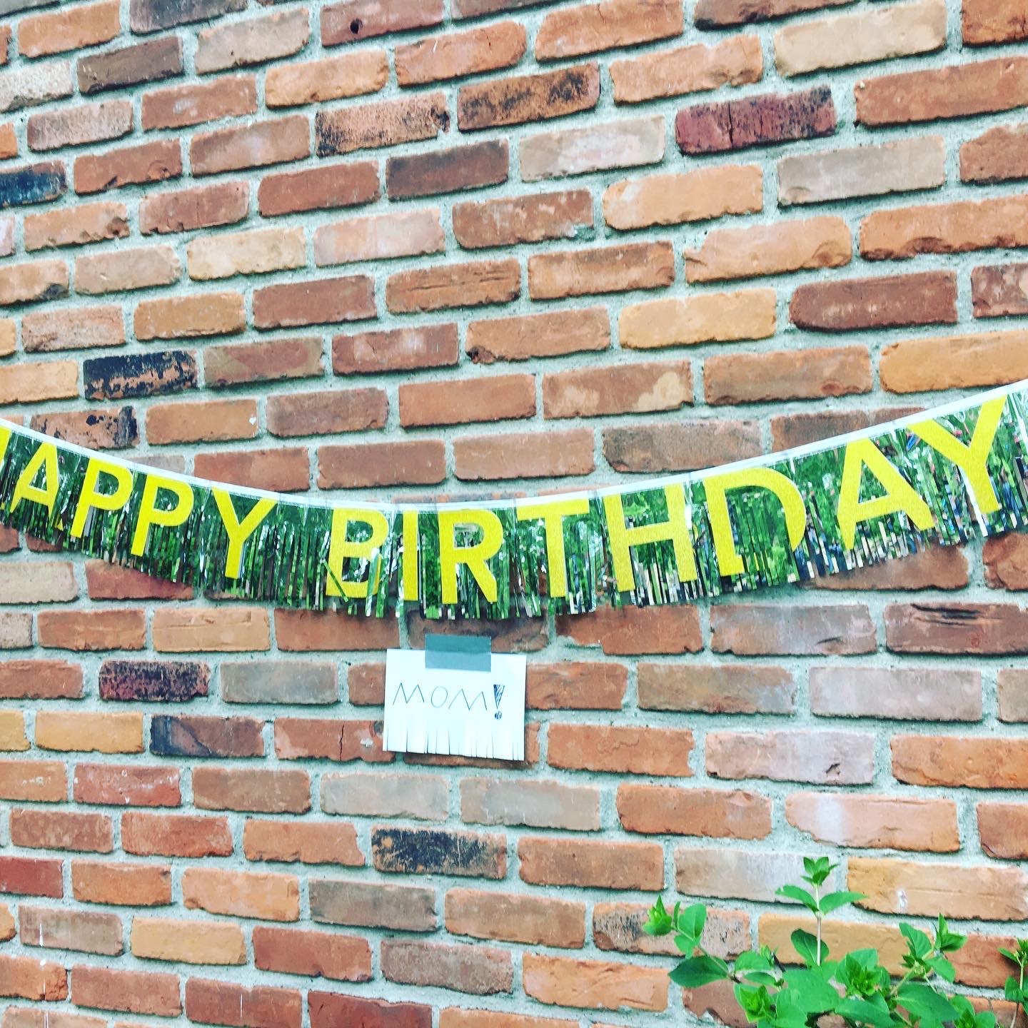 8368114d-efb7-4ebc-bf6a-6954c1486d15