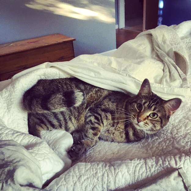 c433be46-d488-4465-982a-3ba2527464f1